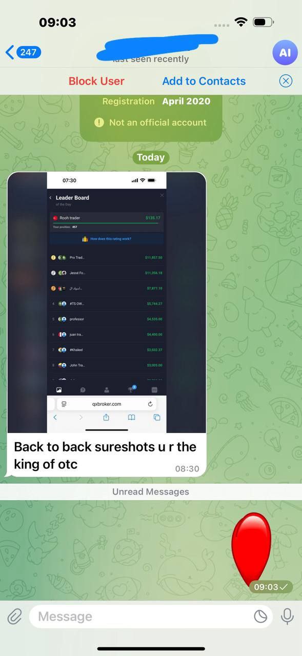 Trader Success Story